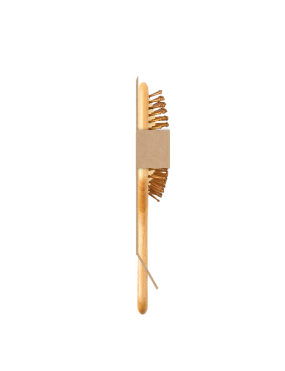 copy of Hummingbird notebook