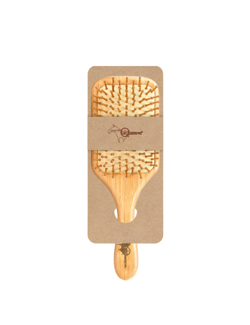 copy of Hummingbird notebook