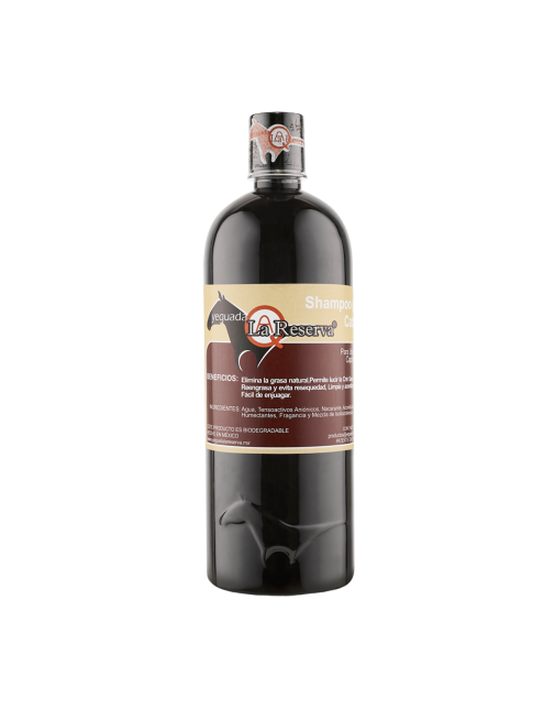 copy of Hummingbird notebook