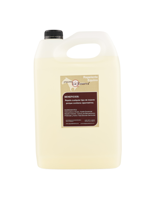 copy of Hummingbird notebook