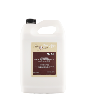 copy of Hummingbird notebook