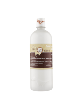 copy of Hummingbird notebook