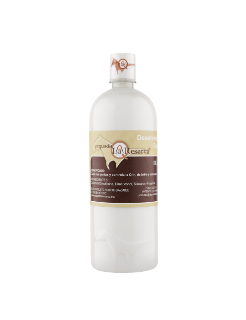 copy of Hummingbird notebook