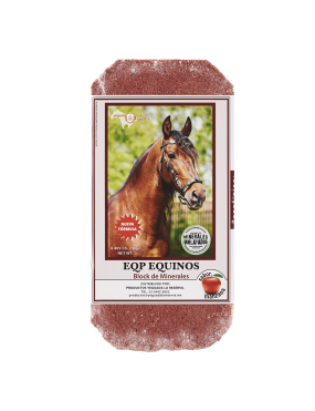 copy of Hummingbird notebook