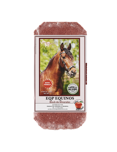 copy of Hummingbird notebook