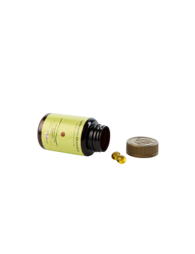 copy of Hummingbird notebook