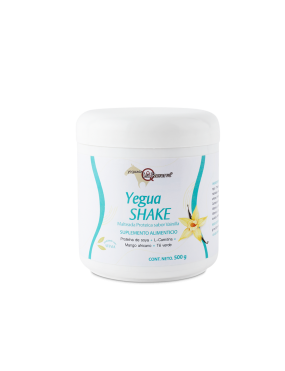 copy of Hummingbird notebook