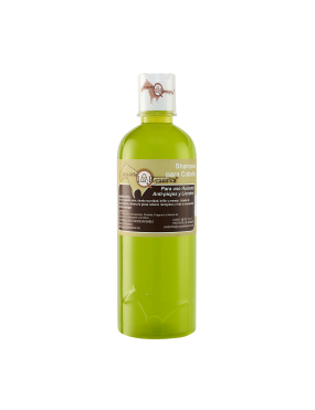 Shampoo Antipiojos y Liendres