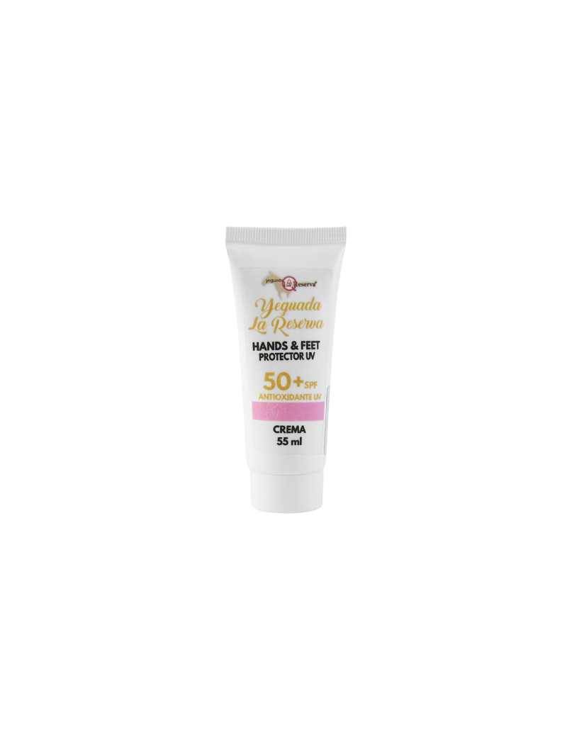 copy of Hummingbird notebook