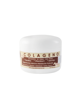 copy of Hummingbird notebook