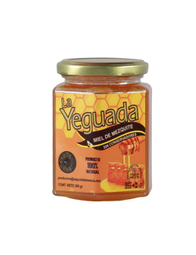 copy of Hummingbird notebook