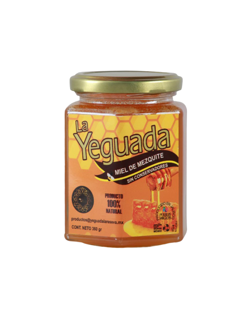 copy of Hummingbird notebook