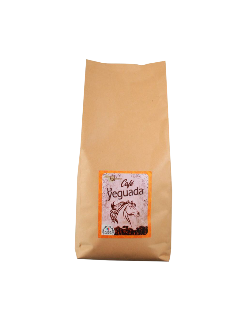 copy of Hummingbird notebook