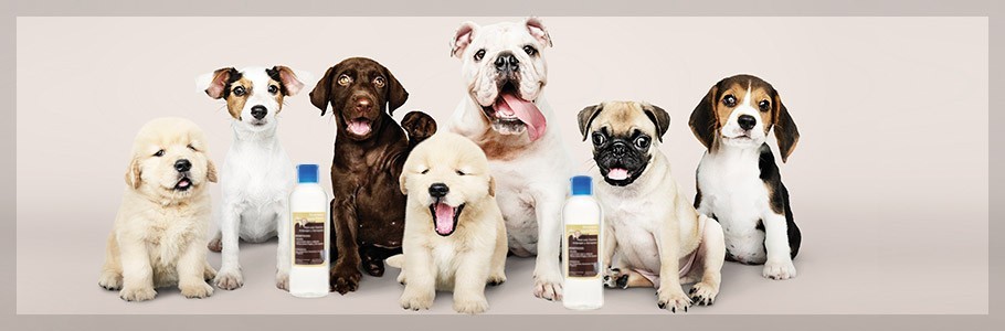 Productos Especiales